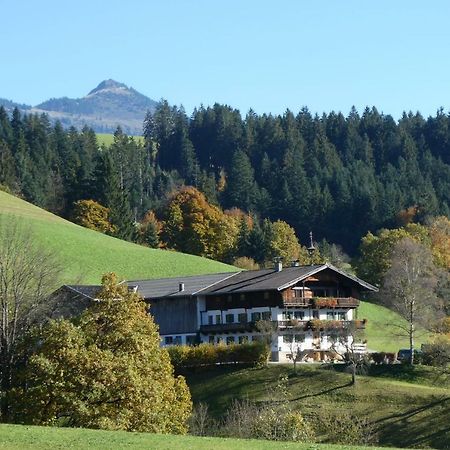 Ferienwohnung Lehenhof 布里克森谷地霍普夫加尔滕 外观 照片