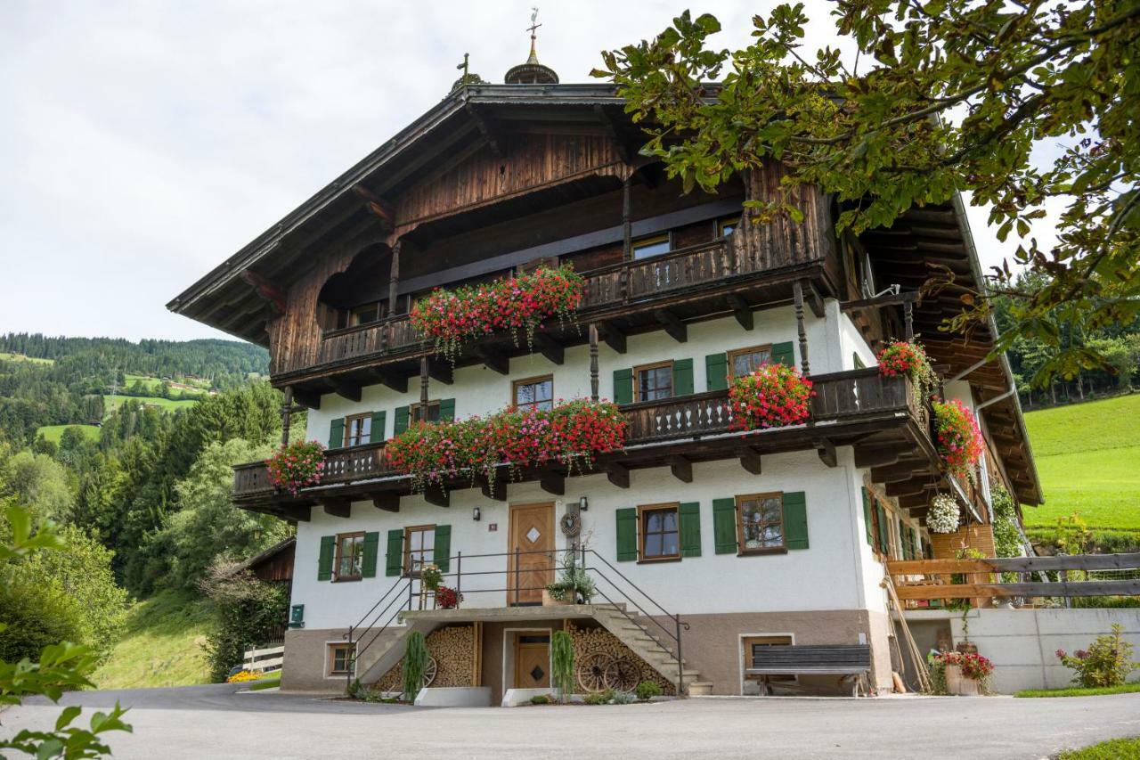 Ferienwohnung Lehenhof 布里克森谷地霍普夫加尔滕 外观 照片