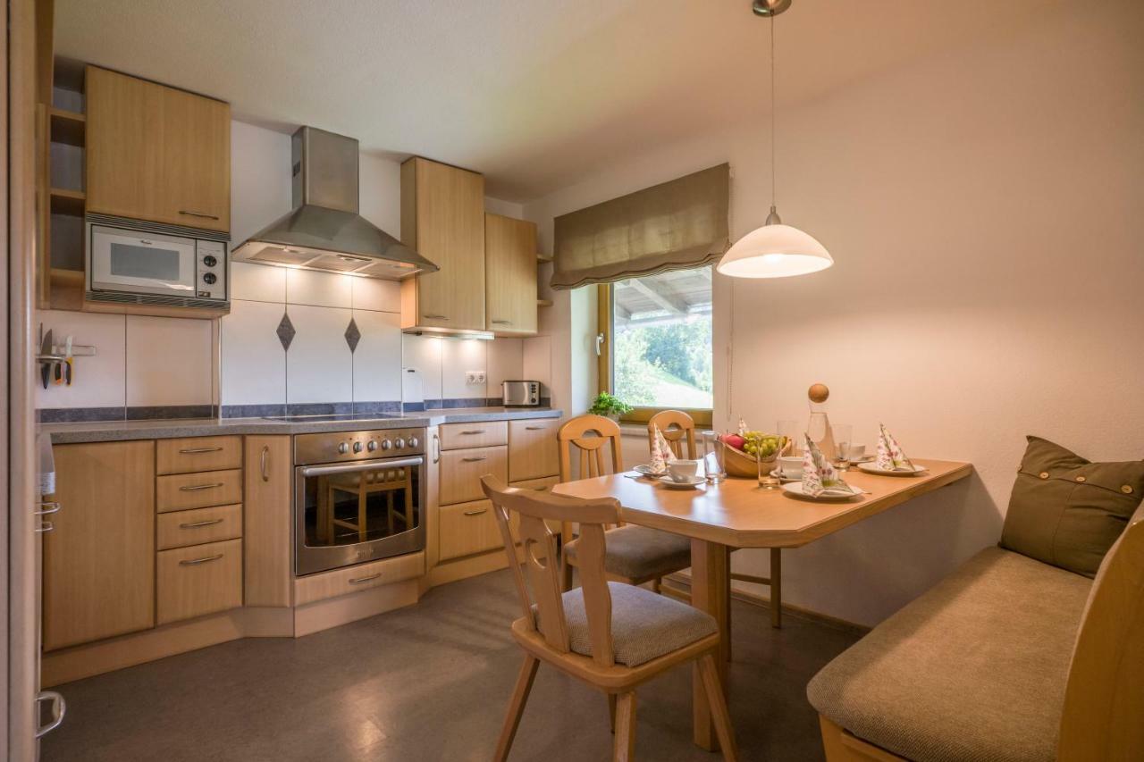 Ferienwohnung Lehenhof 布里克森谷地霍普夫加尔滕 外观 照片